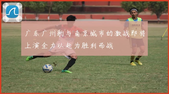 广东广州豹与南京城市的激战即将上演全力以赴为胜利而战