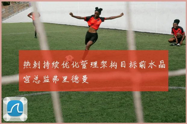 热刺持续优化管理架构目标前水晶宫总监弗里德曼