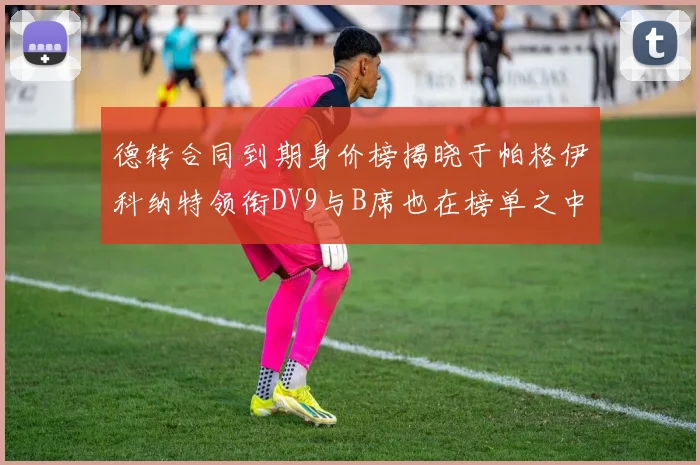 德转合同到期身价榜揭晓于帕格伊科纳特领衔DV9与B席也在榜单之中