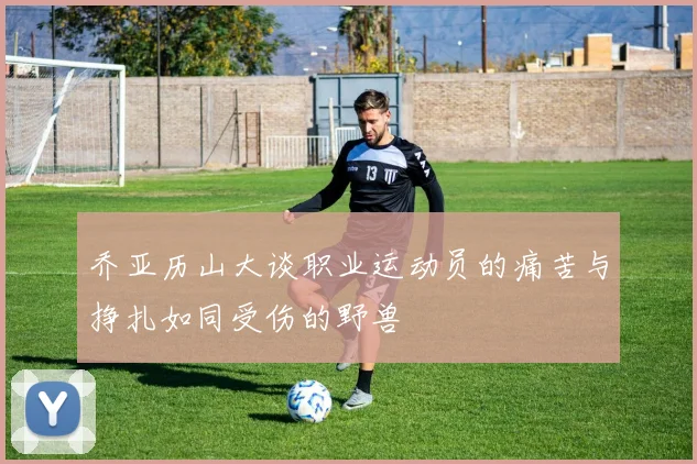 乔亚历山大谈职业运动员的痛苦与挣扎如同受伤的野兽